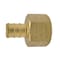 Apollo 1/2 in. Brass PEX Barb x 1/2 in. Female Pipe Thread Adapter Jar (25-Pack), 25PK APXFA1225JR - alternate 1